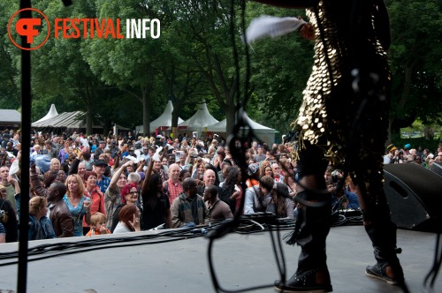 Sfeerfoto The Hague African Festival 2010 - zondag 13 juni