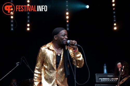 Sfeerfoto The Hague African Festival 2010 - zondag 13 juni