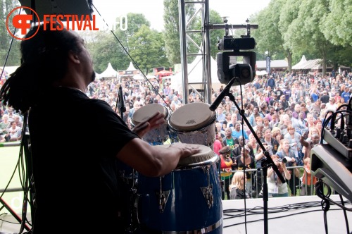Sfeerfoto The Hague African Festival 2010 - zondag 13 juni