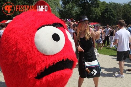Sfeerfoto Parkpop 2010 - zondag 27 juni