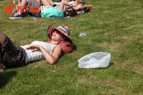 Sfeerfoto Parkpop 2010 - zondag 27 juni