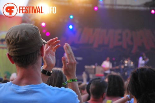 Sfeerfoto Summerjam 2010 - zaterdag 3 juli