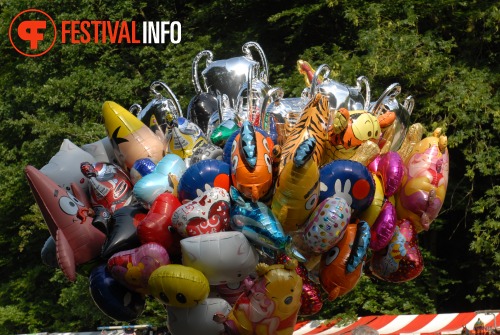 Sfeerfoto Werfpop 2010