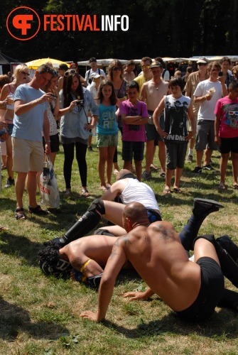 Sfeerfoto Werfpop 2010
