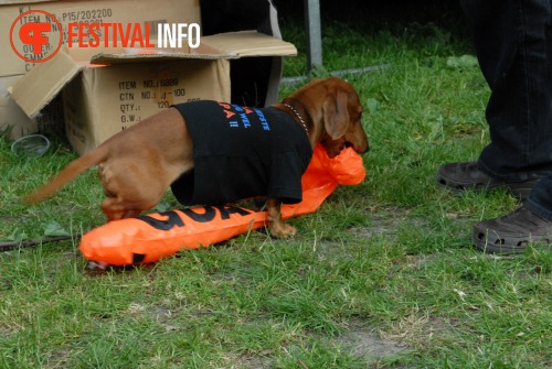 Sfeerfoto Werfpop 2010