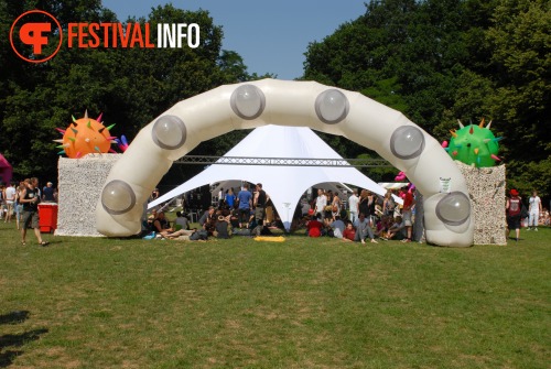 Sfeerfoto Werfpop 2010