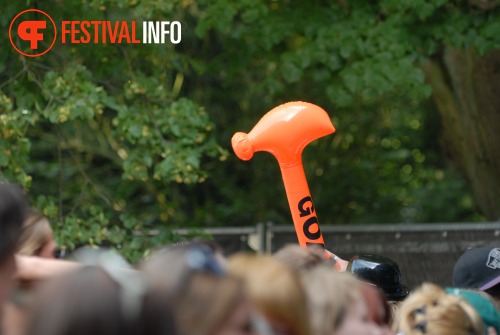 Sfeerfoto Werfpop 2010