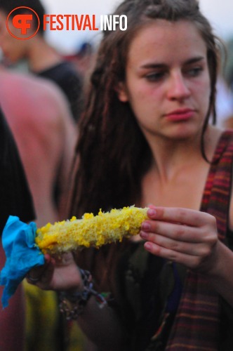 Sfeerfoto Summerjam 2010 - zondag 4 juli