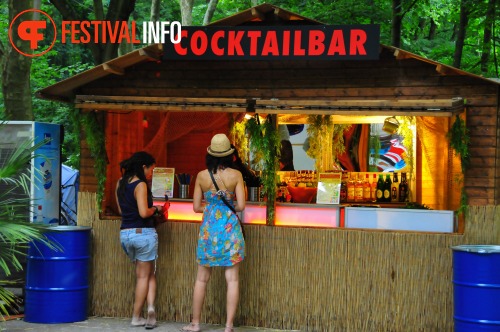 Sfeerfoto Summerjam 2010 - zondag 4 juli