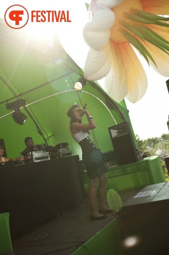 Sfeerfoto Tomorrowland 2010 - zaterdag 24 juli 2010
