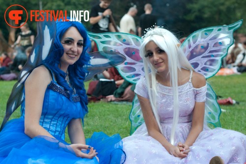 Sfeerfoto Castlefest 2010 - vrijdag 6 augustus 2010