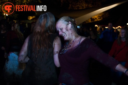 Sfeerfoto Folkwoods Festival 2010 - zondag 15 augustus