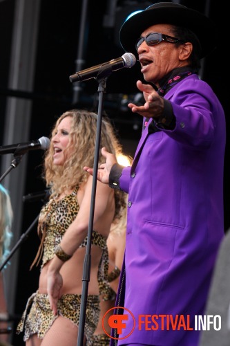Sfeerfoto Pinkpop Classic 	2010 - zaterdag 14 augustus