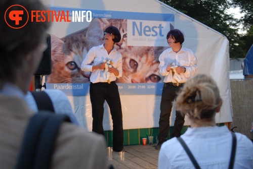 Sfeerfoto De Parade 2010 - vrijdag 13 augustus