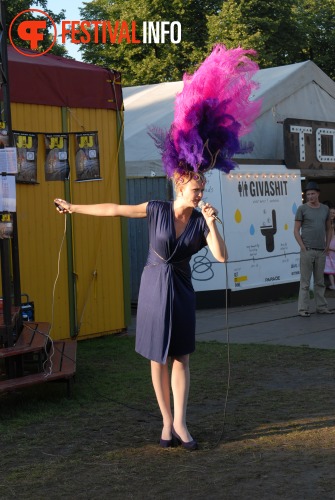 Sfeerfoto De Parade 2010 - vrijdag 13 augustus