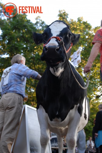 Sfeerfoto De Parade 2010 - vrijdag 13 augustus