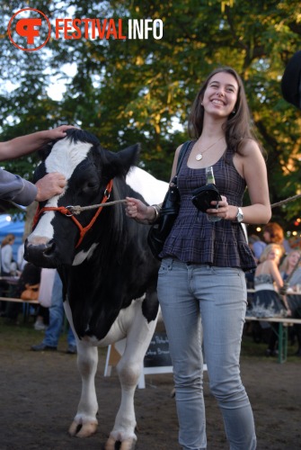 Sfeerfoto De Parade 2010 - vrijdag 13 augustus