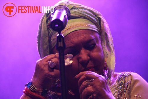 Sfeerfoto The Gypsy Queens and Kings - 12/2 - Paard van Troje