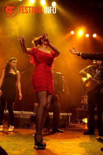 Sfeerfoto The Gypsy Queens and Kings - 12/2 - Paard van Troje