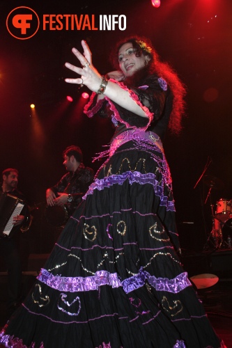 Sfeerfoto The Gypsy Queens and Kings - 12/2 - Paard van Troje