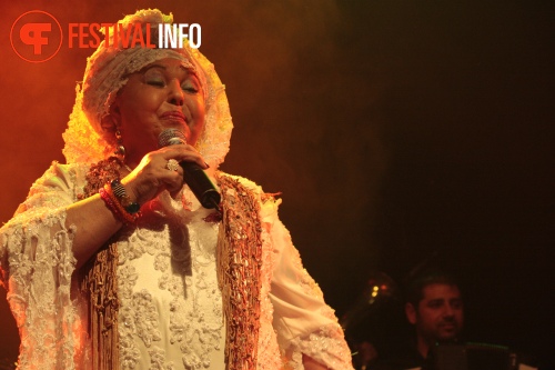 Sfeerfoto The Gypsy Queens and Kings - 12/2 - Paard van Troje