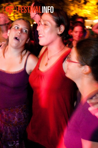 Sfeerfoto Folkwoods 2009 - zaterdag 15 augustus