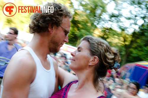 Sfeerfoto Folkwoods 2009 - zaterdag 15 augustus