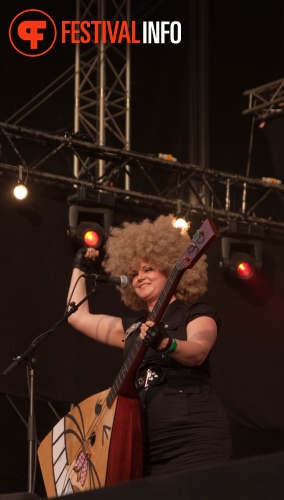 Sfeerfoto Bevrijdingsfestival Overijssel - 5 mei 2011