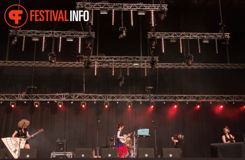 Sfeerfoto Bevrijdingsfestival Overijssel - 5 mei 2011