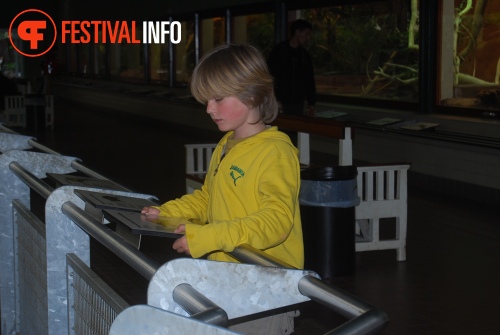 Sfeerfoto ZOOmeravond: Thé Lau - 11/6 - Artis Amsterdam