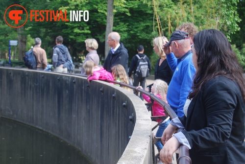 Sfeerfoto ZOOmeravond: Thé Lau - 11/6 - Artis Amsterdam