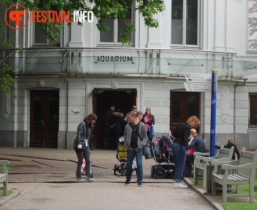 Sfeerfoto ZOOmeravond: Thé Lau - 11/6 - Artis Amsterdam