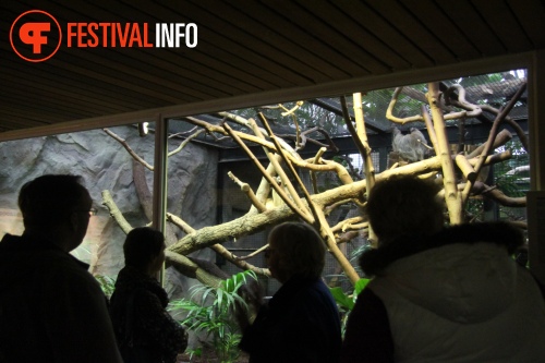 Sfeerfoto ZOOmeravond: Perquisite - 25/6 - Artis Amsterdam