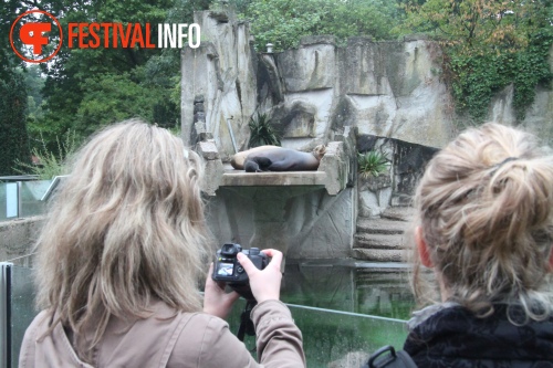 Sfeerfoto ZOOmeravond: Perquisite - 25/6 - Artis Amsterdam