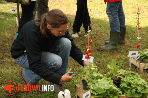 Sfeerfoto Festival deBeschaving - zaterdag 18 juni 2011