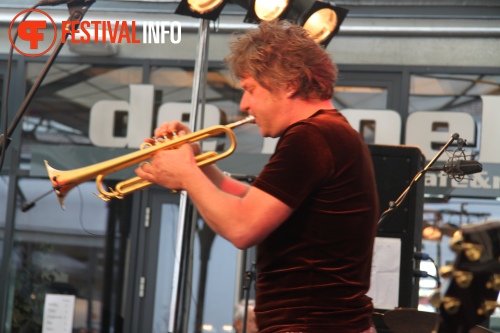 Sfeerfoto MidzomerZaan Festival - zondag 19 juni