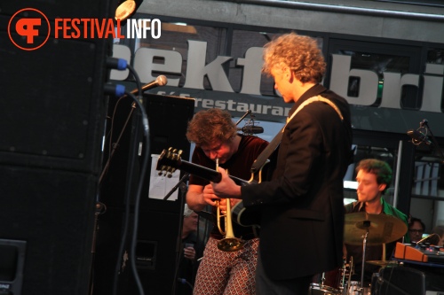 Sfeerfoto MidzomerZaan Festival - zondag 19 juni