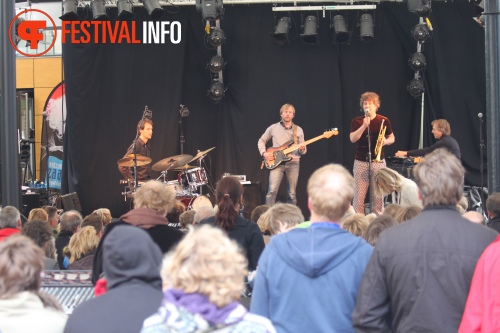 Sfeerfoto MidzomerZaan Festival - zondag 19 juni