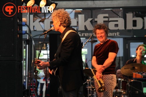 Sfeerfoto MidzomerZaan Festival - zondag 19 juni