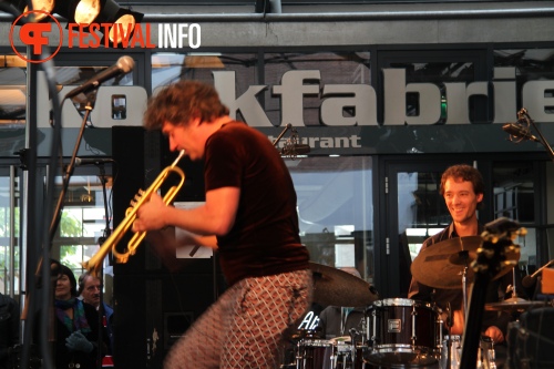 Sfeerfoto MidzomerZaan Festival - zondag 19 juni