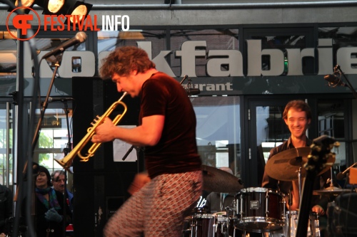 Sfeerfoto MidzomerZaan Festival - zondag 19 juni