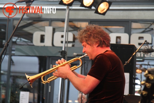Sfeerfoto MidzomerZaan Festival - zondag 19 juni