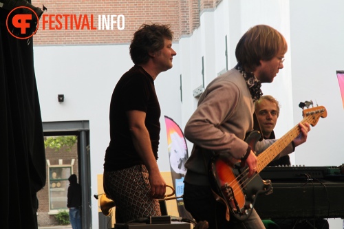 Sfeerfoto MidzomerZaan Festival - zondag 19 juni