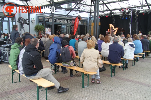 Sfeerfoto MidzomerZaan Festival - zondag 19 juni