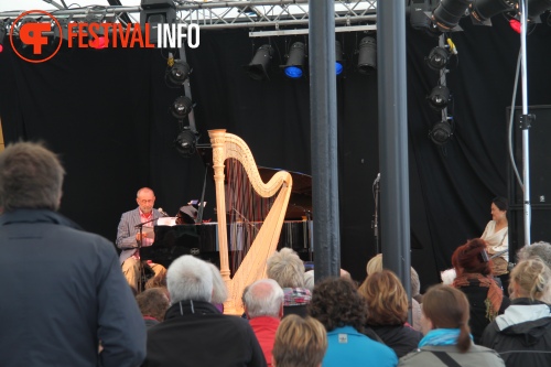 Sfeerfoto MidzomerZaan Festival - zondag 19 juni