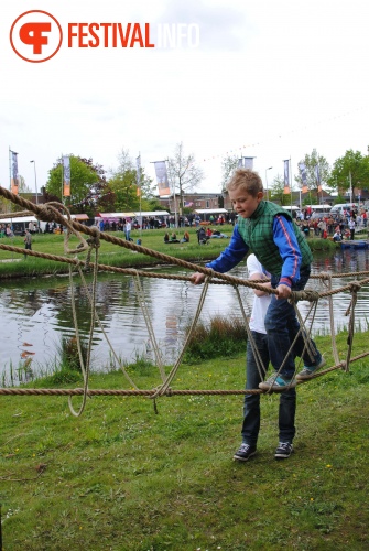Sfeerfoto Bevrijdingsfestival Overijssel