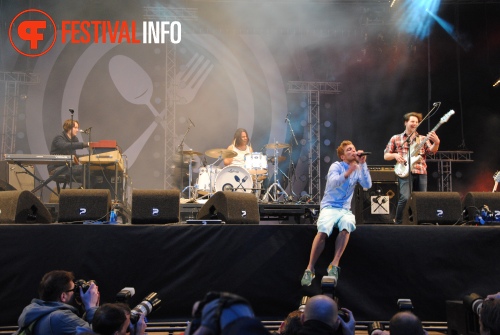 Sfeerfoto Bevrijdingsfestival Overijssel