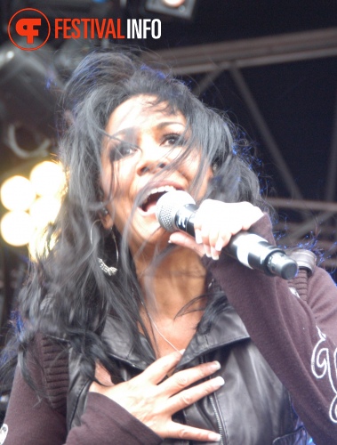 Sfeerfoto Retropop 2012