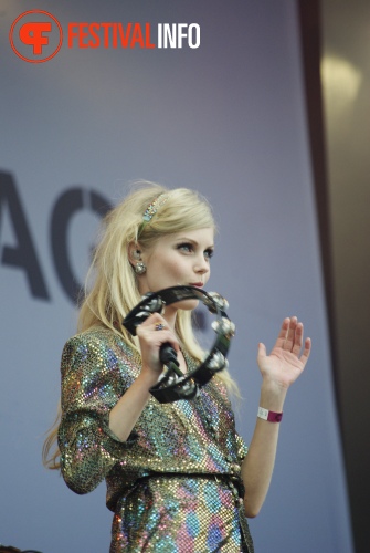 Sfeerfoto Parkpop 2012