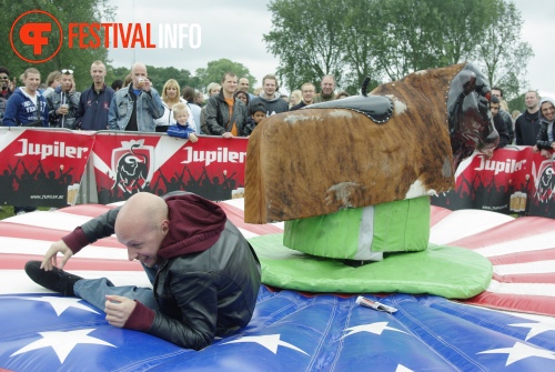 Sfeerfoto Parkpop 2012